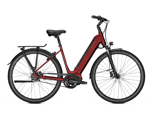 Raleigh SHEFFIELD PREMIUM - Trekking E-Bike - 2019