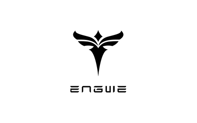 engwe-bikes-eu.com