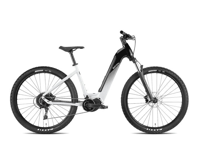 Foto: BESV TRX 1.5 E-Bike MTB Hardtail