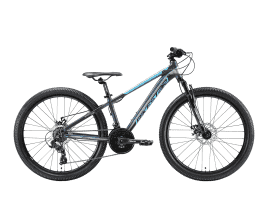 BIKESTAR Sport 26 Blau & Grau