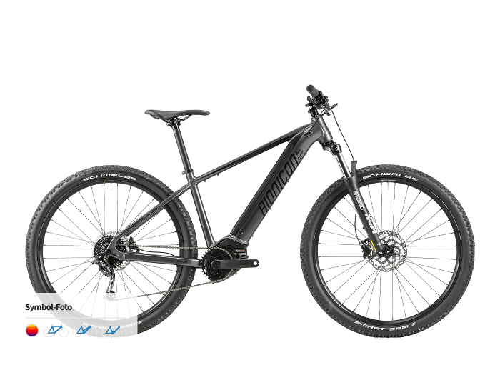 BIONICON Earp 3 L | 500 Wh