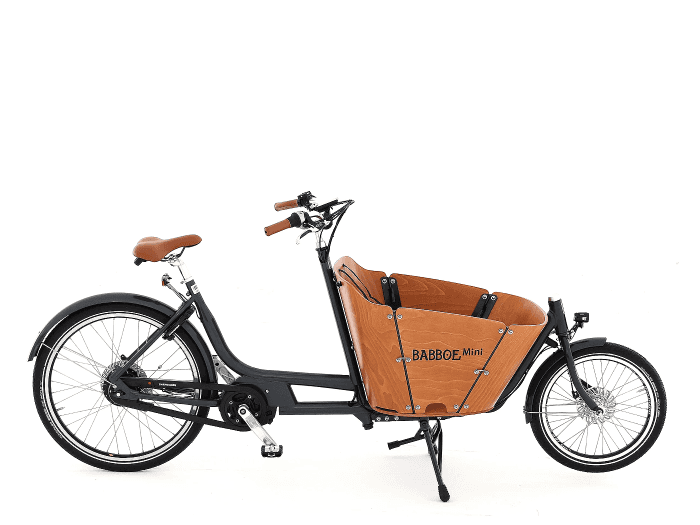 Babboe Mini Mountain - Lastenfahrrad E-Bike - 2020