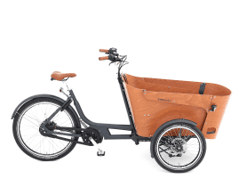 Babboe Flow Mountain 400 Wh