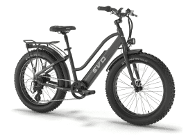Bad Bike Evo Fat 250w Schwarz matt