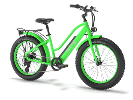 Bad Bike Evo Fat R 500w Hellgrün