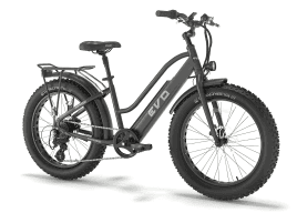 Bad Bike Evo Fat R 500w Schwarz matt