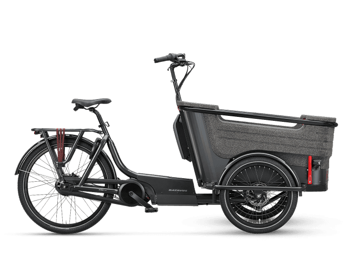 Batavus Fier-3 