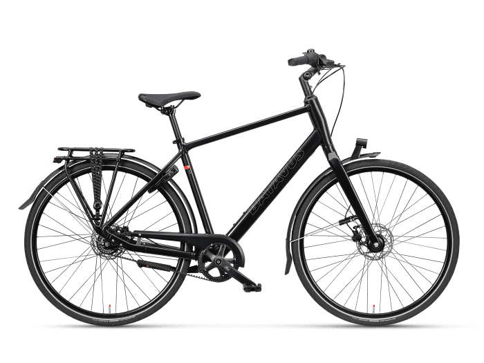 Foto: Batavus Senz Exclusive Fahrrad City