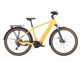 Bergamont E-Horizon Sport 20 Herren | S | colorado gold