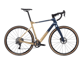 Bianchi Arcadex Carbon Disc GRX 810 DI2 S | gold storm / blue notes full glossy