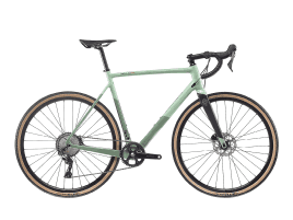 Bianchi Impulso Pro Men 48 cm | IT - Sage / Escape