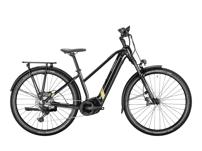 Foto: CONWAY Cairon T 6.0 E-Bike Trekking