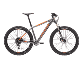 Cannondale Beast of the East 3 