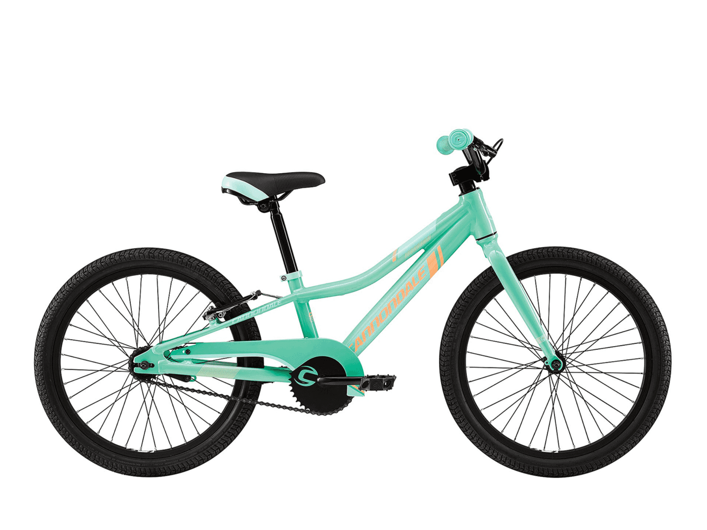 cannondale trail 20