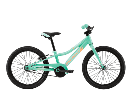 Cannondale Trail 20 Single-Speed Girl's 