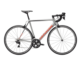 Cannondale SuperSix EVO Carbon 105 63 cm | Sage Gray w/ Graphite and Acid Red - Gloss