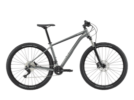 Cannondale Trail 4 XS | Grey