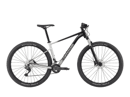 Cannondale Trail SL 4 S | grey