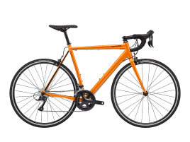 Cannondale CAAD Optimo Sora SMU 54 cm | Crush