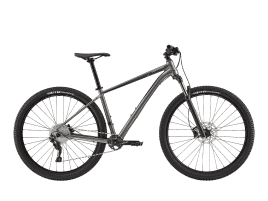 Cannondale Trail 4 LG | Grey