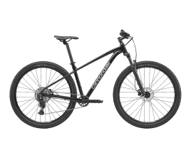 Cannondale Trail 2 