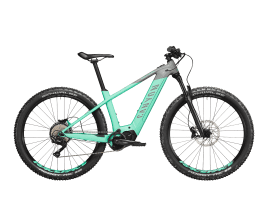 Canyon Grand Canyon:ON WMN AL 8.0 S | Charged Mint