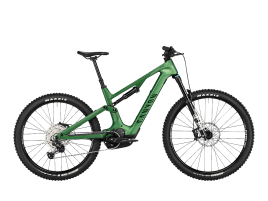 Canyon Spectral:ON CF 8 M | Green Vastness