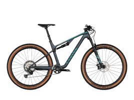 Canyon Lux Trail CF 7 M | Columbia Blue