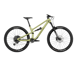 Canyon Spectral 125 CF 7 S | Big Bamboo