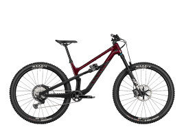 Canyon Spectral 125 CF 8 L | Rollercoaster