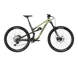 Canyon Spectral 29 CF 7 S | Big Bamboo