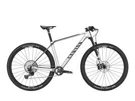 Canyon Exceed CF 6 XS | Quick Silver