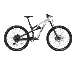 Canyon Spectral 29 AL 6 M | Raw'kn'Roll