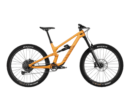 Canyon Torque 29 CF 7 