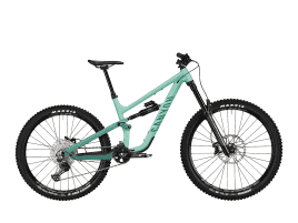 Canyon Torque 5 (mullet) S | Turquoise