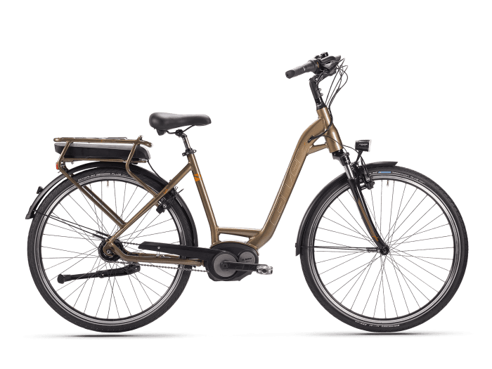 Foto: Carver Cityzen 1010 FL E-Bike City Tiefeinsteiger