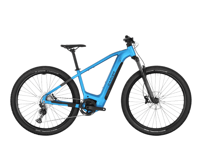 Foto: Carver Strict E.540 E-Bike MTB Hardtail