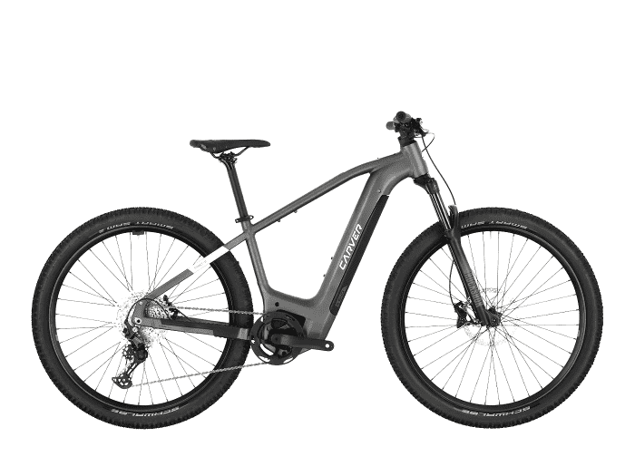 Foto: Carver Strict E.540 E-Bike MTB Hardtail