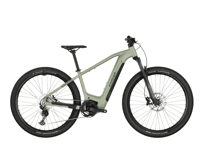 Foto: Carver Strict E.540 E-Bike MTB Hardtail