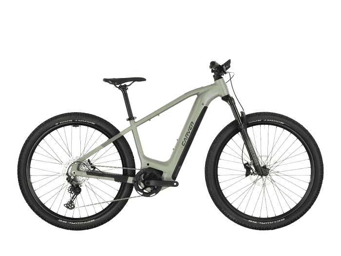 Foto: Carver Strict E.560 E-Bike MTB Hardtail