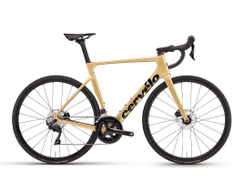 Cervélo Soloist 56 | Gold Dust | 105