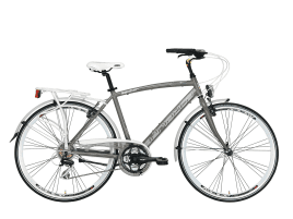 Cicli Adriatica BOXTER HP Herren | 55 cm | grigio