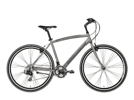 Cicli Adriatica Boxter FY Herren | 55 cm | Grigio