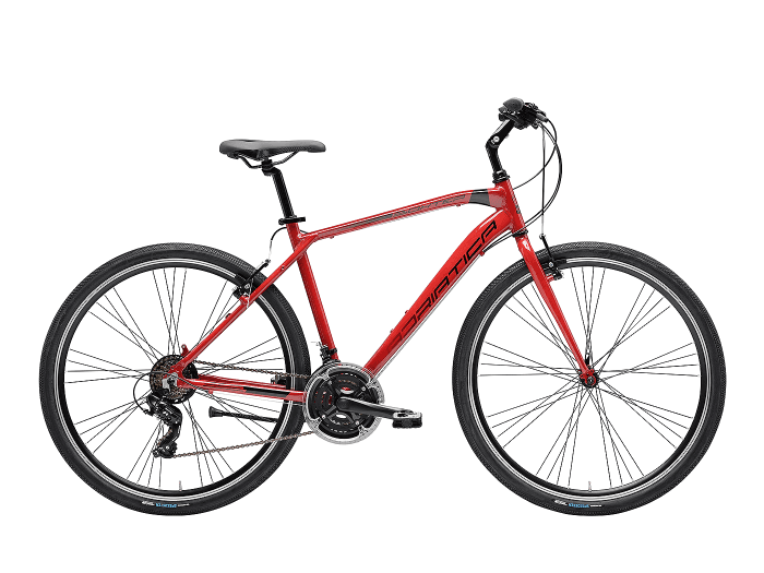 Cicli Adriatica Boxter FY Man | 45 cm | rosso scuro