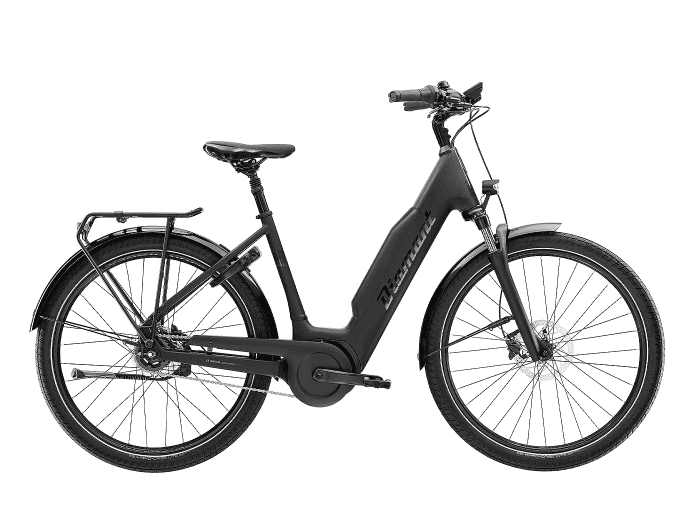 Foto: Diamant Beryll RT E-Bike City