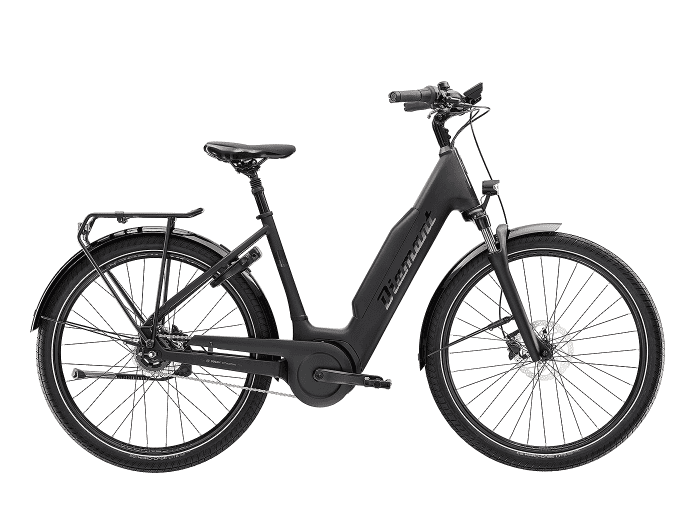 Foto: Diamant Beryll E-Bike City