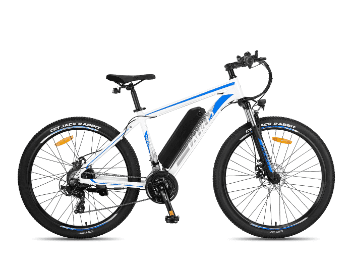 Foto: FAFREES F28 MT E-Bike MTB Hardtail