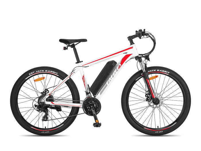 Foto: FAFREES F28 MT E-Bike MTB Hardtail