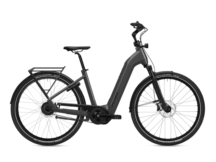 Foto: FLYER Gotour 5.43 E-Bike Trekking