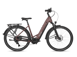 Falter E 7.0 Plus 800 Wave | 45 cm | wine red